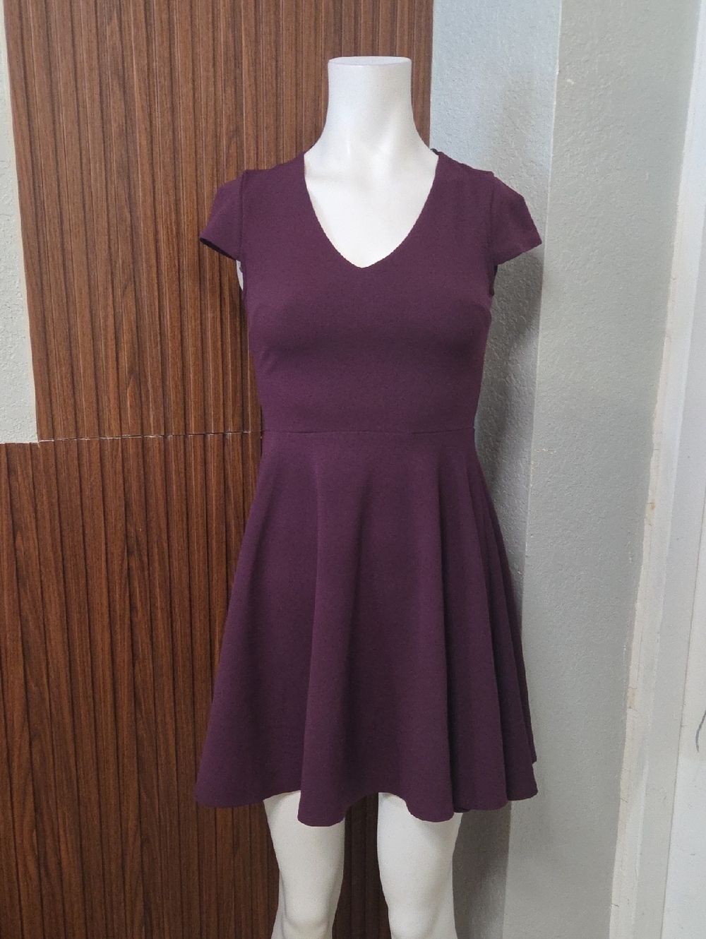 B. Smart Plum V-Neck Fit & Flare Mini Dress Sz 1 [1217]